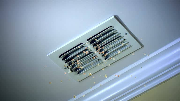 Best Affordable Air Duct Cleaning  in Lexington, NE