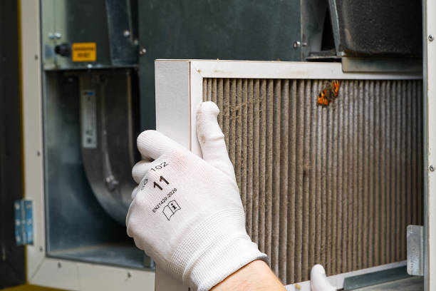 Best Duct Cleaning for Offices  in Lexington, NE
