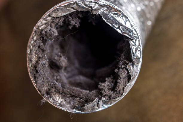 Best Ductwork Cleaning Services  in Lexington, NE