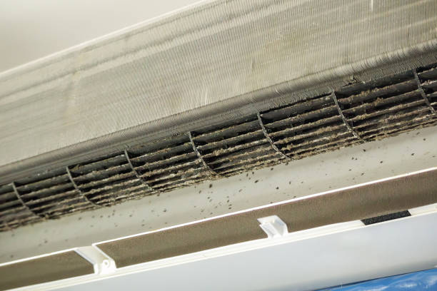 Best HVAC Air Duct Cleaning  in Lexington, NE