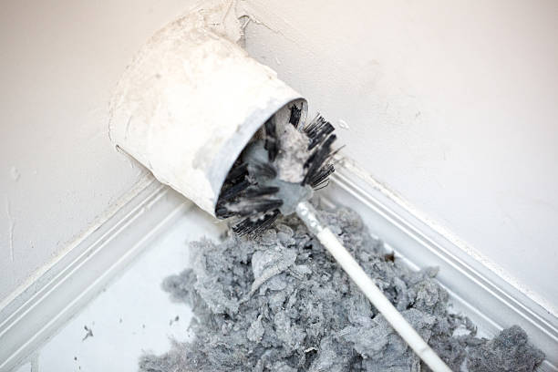 Best Home Air Vent Cleaning  in Lexington, NE